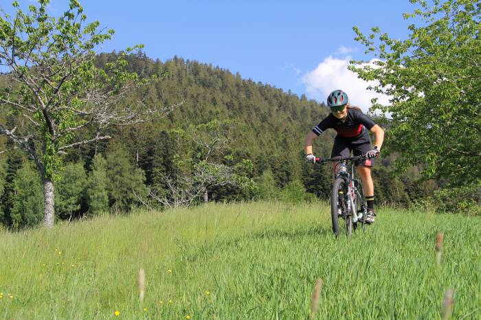 Mountainbiken im Schwarzwald