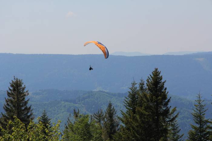 Paragleiten im Schwarzwald