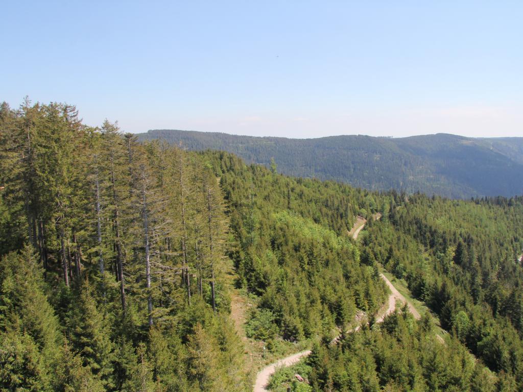 Active in the Black Forest – experience Hotel Mühlenglück Oppenau